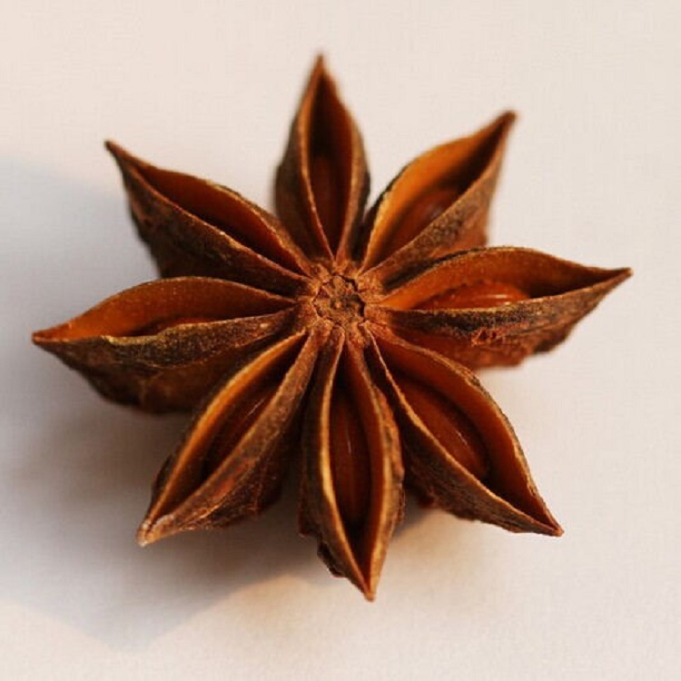 S204 star anise seed (1).jpg