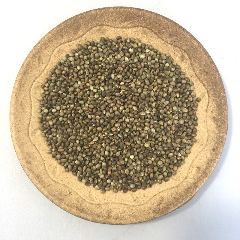 S233 hemp seed (1).JPG