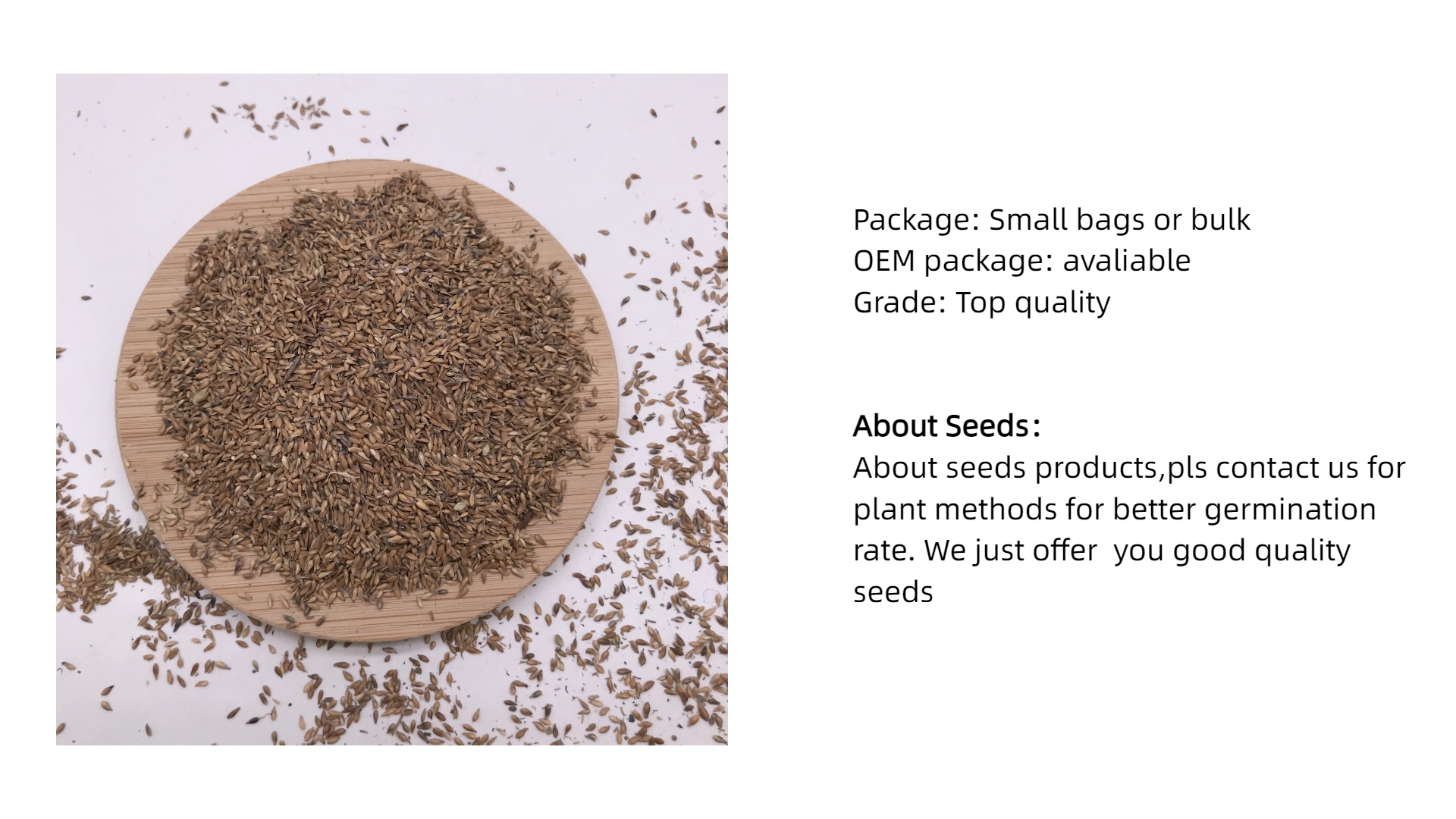 S813 Zoysia Seeds(4).jpg