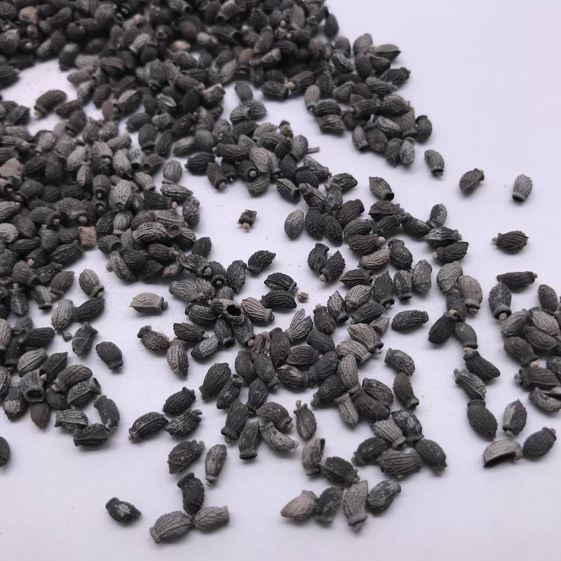 S4016 Borage Seeds(1).JPG