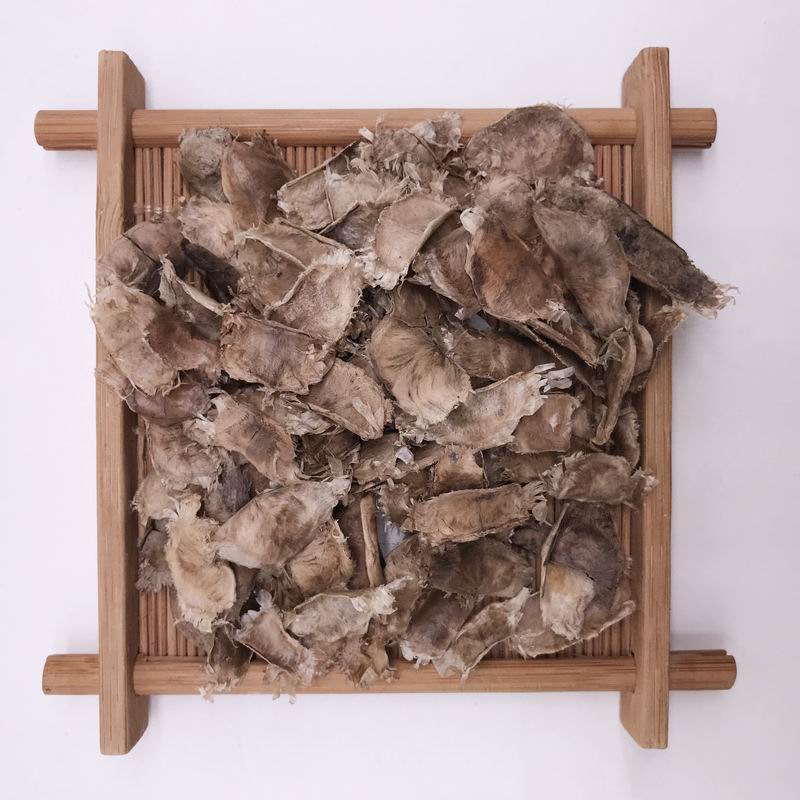 S396 Purple Tabebuia Seed(2).jpg