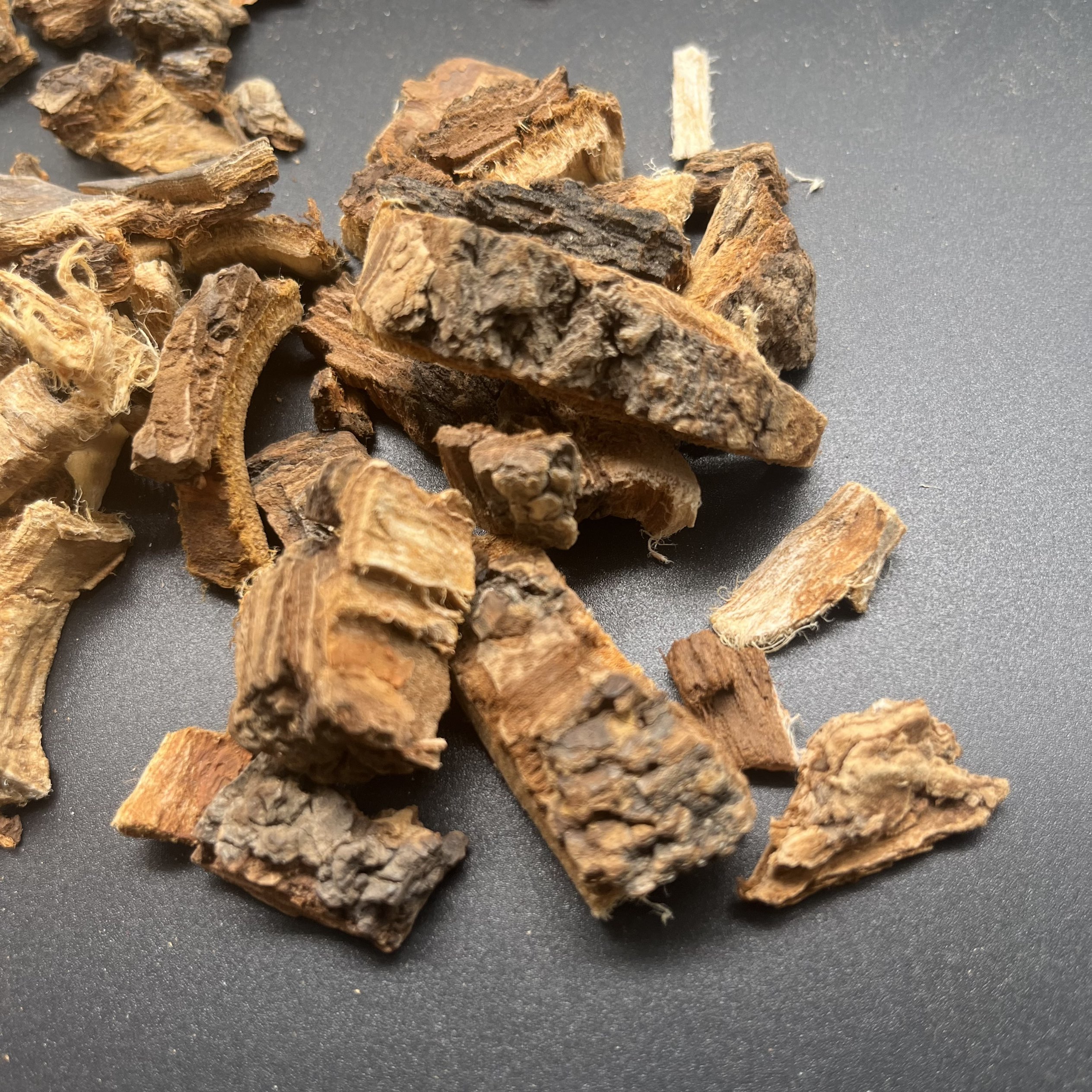 6031 ourter bark (8).png