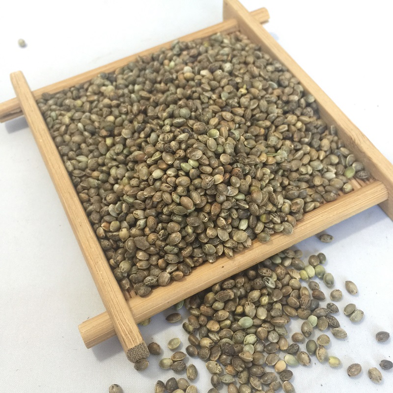 Hemp Seeds