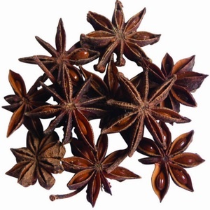 Star Anise seed