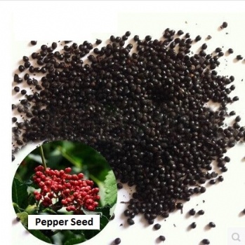 Sichuan pepper seed