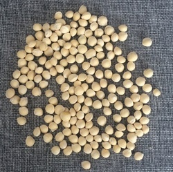 calcium fruit seed