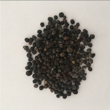 white sandalwood seed