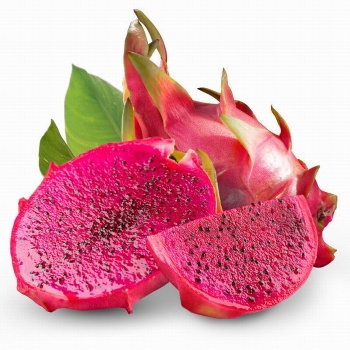 dragon fruit seed