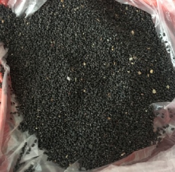 dragon fruit seed