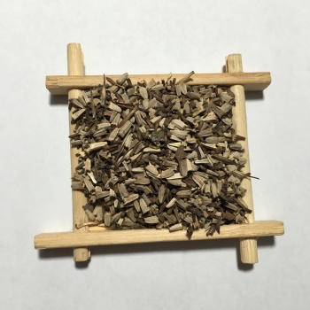 Echinacea seed