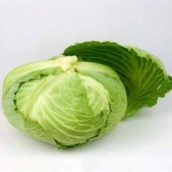 Cabbage seed