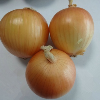 Yellow Onion Seeds