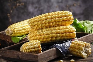 Sweet corn seeds