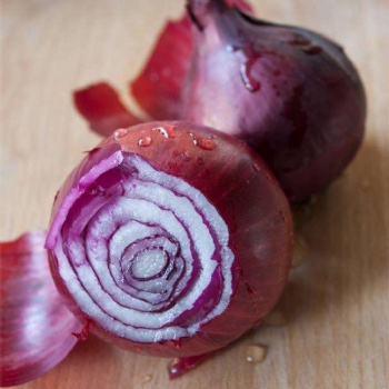 Red Onion Seeds