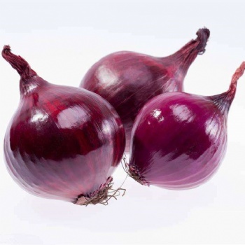 Red Onion Seeds