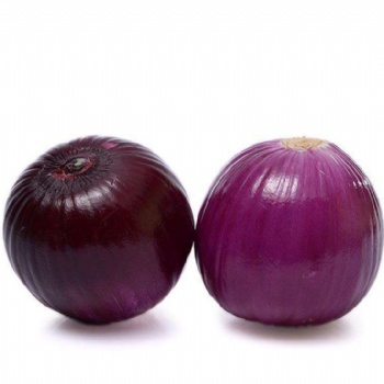 Red Onion Seeds