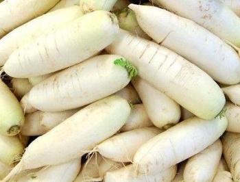 White radish seed