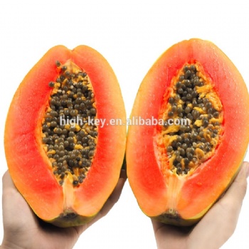 Red lady papaya seed