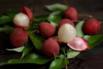 Litchi seed