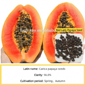 Red lady papaya seed
