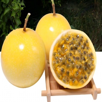 Golden passion fruit