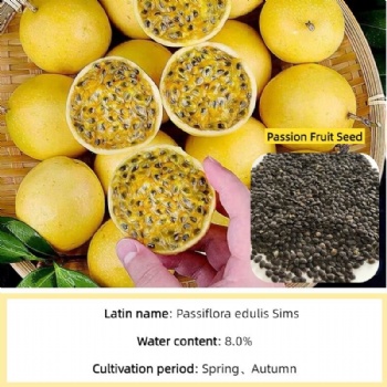 Golden passion fruit