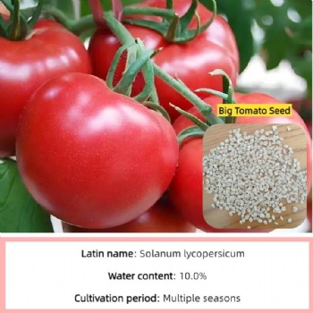 Tomato Seeds