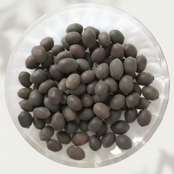 lotus seed