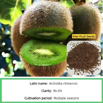 kiwi fruit seeds