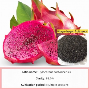dragon fruit seed
