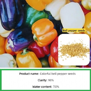 Sweet pepper seeds