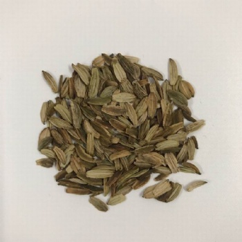 Ashitaba Seeds