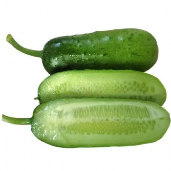 Mini Fruit Cucumber Seeds