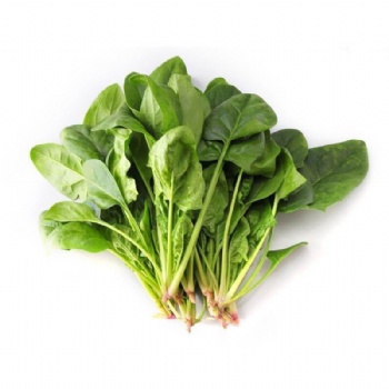 Spinach Seed
