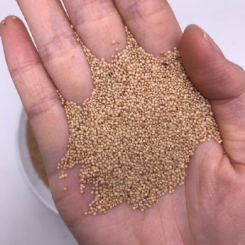 Red Amaranth Seeds