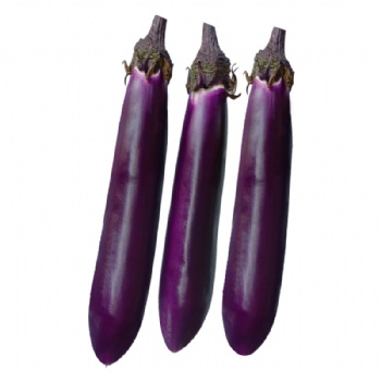 Dark Purple Eggplant Seed