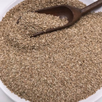 Bermuda Grass Seed