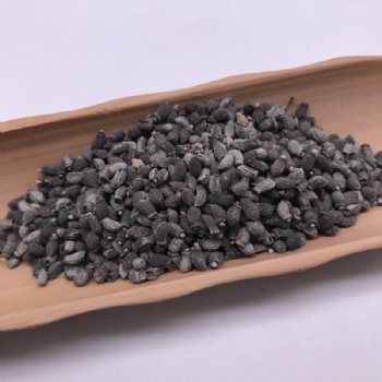 Borage Seeds