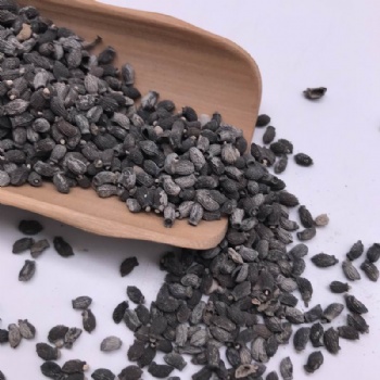 Borage Seeds