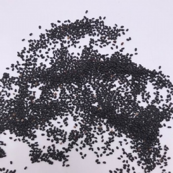 Basil Seeds