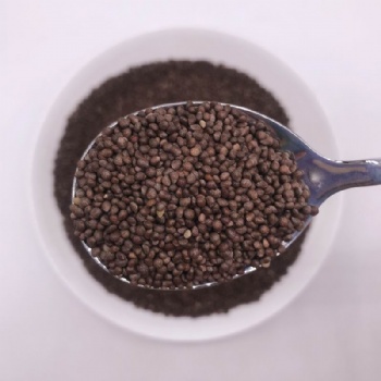 Green Perilla Seeds