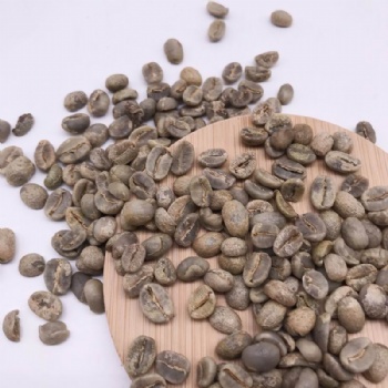 Coffee Seed