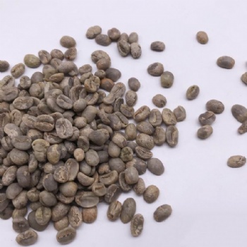 Coffee Seed