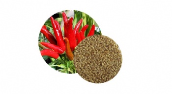 Vegetable seeds